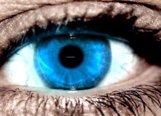 OKO REPORTERA Z DN. 20 KWIETNIA 2018 – TARGI PRACY