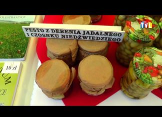 2018.06.03 – FESTIWAL NALEWEK BEZ NALEWEK