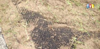 2018.07.12 – PROBLEM Z WAŁAMI?