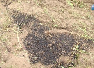 2018.07.12 – PROBLEM Z WAŁAMI?