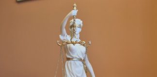 2018.07.31 – WYŁUDZACZ W ARESZCIE