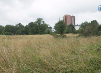 2018.08.06 – ODKOMARZANIE START