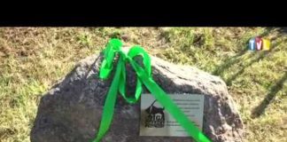 2018.10.10- 40 DRZEW NA 40. ROCZNICĘ