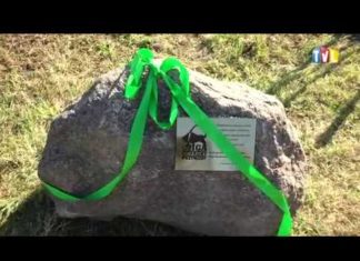 2018.10.10- 40 DRZEW NA 40. ROCZNICĘ