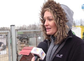 2019.02.20 – JUŻ ZACZYNAJĄ POLOWAĆ