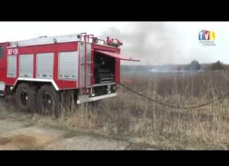 2019.03.25 – STOP! WYPALANIU TRAW