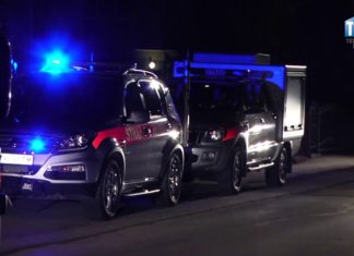 2019.03.20 – WĄGLIK W TARNOBRZEGU?