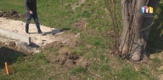 2019.04.09 – DRZEWO BYŁO OBOK