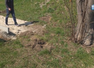 2019.04.09 – DRZEWO BYŁO OBOK