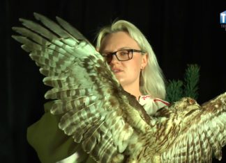 2019.04.06 – LEGENDA O SOKOLNIKACH