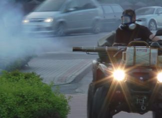 ODKOMARZANIE NA TERENIE MIASTA TARNOBRZEGA