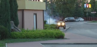 PLAGA KOMARÓW W TARNOBRZEGU