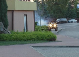 PLAGA KOMARÓW W TARNOBRZEGU