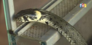 2019.06.26 – MIASTO W LECIE