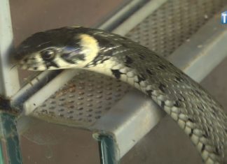 2019.06.26 – MIASTO W LECIE