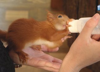 2019.07.19 – RUDA “BASIA” W CENTRUM NATURA