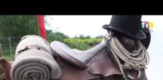 2019.08.11 – DZIKI ZACHÓD W TARNOBRZEGU