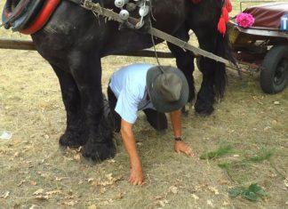 2019.08.04 – FURMANKI W ROLI GŁÓWNEJ