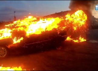 2019.08.08 – EXTREME CASCADERS TEAM W TARNOBRZEGU