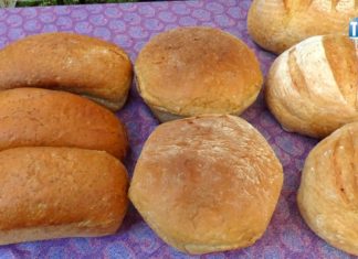 2019.08.15 – CHLEBA NASZEGO POWSZEDNIEGO