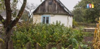 2019.10.24 – DLA MANIEWICZ I NIEPODLEGŁEJ