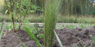 2019.10.28 – BĘDZIE ZIELONO