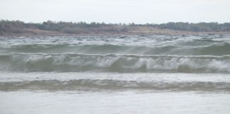 ZANIECZYSZCZENIE WÓD JEZIORA TARNOBRZESKIEGO – KOMUNIKAT