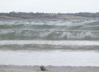 JEZIORO MAMY CZYSTE I BEZPIECZNE