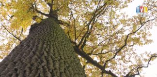 2019.11.08 – RUSZ NOGĘ, WSPOMÓŻ PRZYRODĘ!