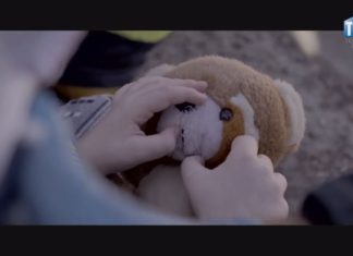 2019.11.13 – PODZIEL SIĘ PLUSZAKIEM!