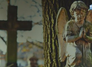 2019.11.09 – CMENTARZ NA FOTOGRAFIACH