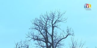 2019.11.29 – DAWNE WRÓŻBY W NOWYM WYDANIU