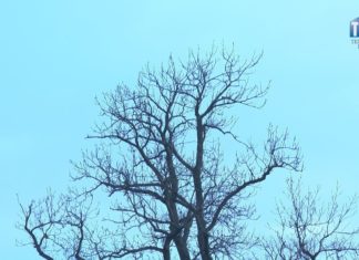 2019.11.29 – DAWNE WRÓŻBY W NOWYM WYDANIU