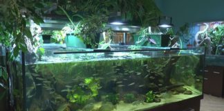 2020.02.04 – NATURA 2000 ODKRYTA NA NOWO