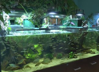 2020.02.04 – NATURA 2000 ODKRYTA NA NOWO