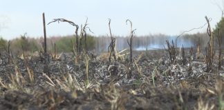 „STOP POŻAROM TRAW”