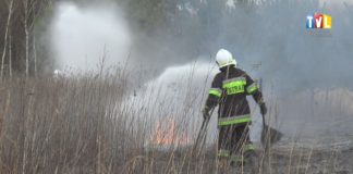 2020.03.31 – JAKIM PRAWEM PODPALASZ TRAWĘ?!