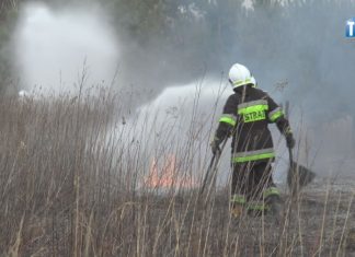 2020.03.31 – JAKIM PRAWEM PODPALASZ TRAWĘ?!