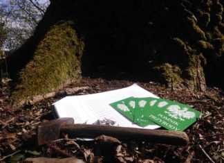 2020.04.15 – ZWIERZYNIECKIE POMNIKI PRZYRODY JUŻ OZNAKOWANE