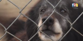 2020.04.22 – SCHRONISKO W CZASACH KORONAWIRUSA