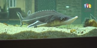 2020.04.07 – NATURA NA WYCIĄGNIĘCIE RĘKI