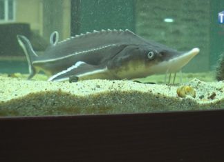 2020.04.07 – NATURA NA WYCIĄGNIĘCIE RĘKI