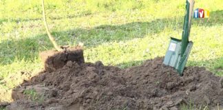 2020.05.19 – KU PAMIĘCI PAPIEŻA POLAKA