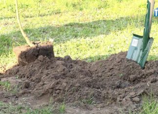 2020.05.19 – KU PAMIĘCI PAPIEŻA POLAKA