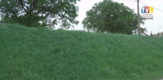 2020.05.28 – ROZPOCZYNAJĄ WALKĘ Z KRWIOPIJCAMI