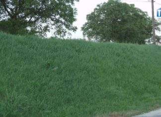 2020.05.28 – ROZPOCZYNAJĄ WALKĘ Z KRWIOPIJCAMI