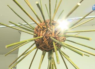 2020.06.10 – SPLECIONY Z NATURĄ