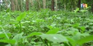 2020.06.18 – TARNOBRZEG 1:0 KLESZCZE