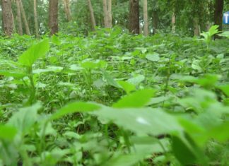 2020.06.18 – TARNOBRZEG 1:0 KLESZCZE