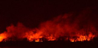 2021.03.09 – POLICJA PRZESTRZEGA PRZED WYPALANIEM TRAW